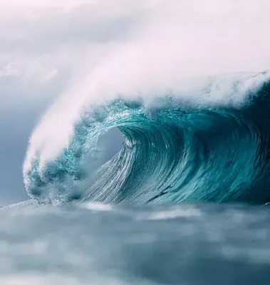 Изображение товара: Программа «Power Flow»