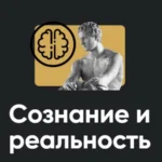 Семинар «Сознание и реальность 2022»