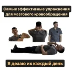 Полный комплекс упражнений для восстановления кровоснабжения мозга